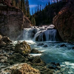 Meet your Posher, Jodie